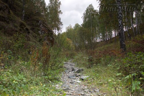 IMG_2677_r